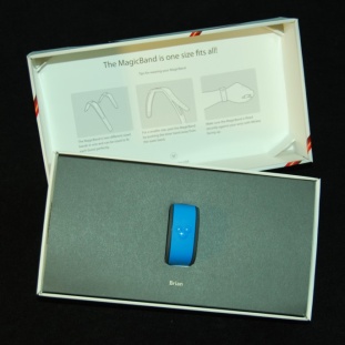 MagicBand packaging
